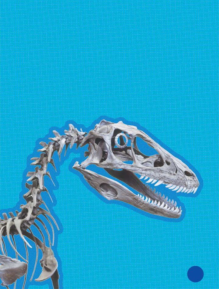 Deinonychus teeth have been found with fossils of a much bigger dino - photo 14