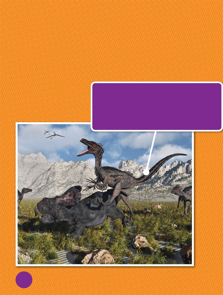 Scientists do not know if Velociraptor hunted in packs No one has found - photo 15