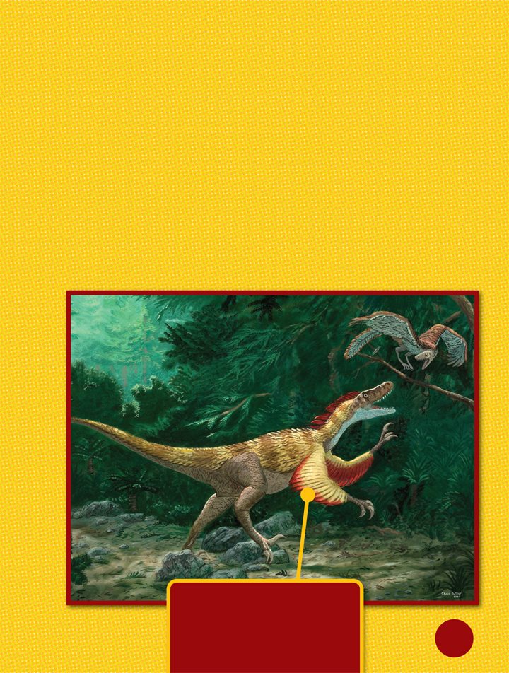 Velociraptor and Deinonychus were small dinosaurs They were shorter than - photo 6