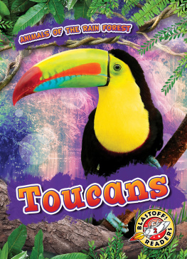 Rachel Grack - Toucans