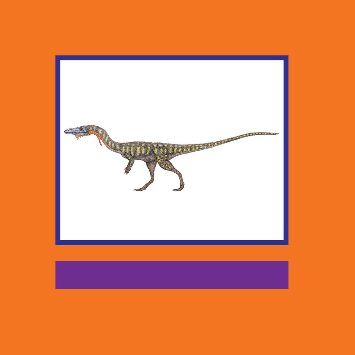 Experts are not sure what colors Coelophysis might have been What Did - photo 10