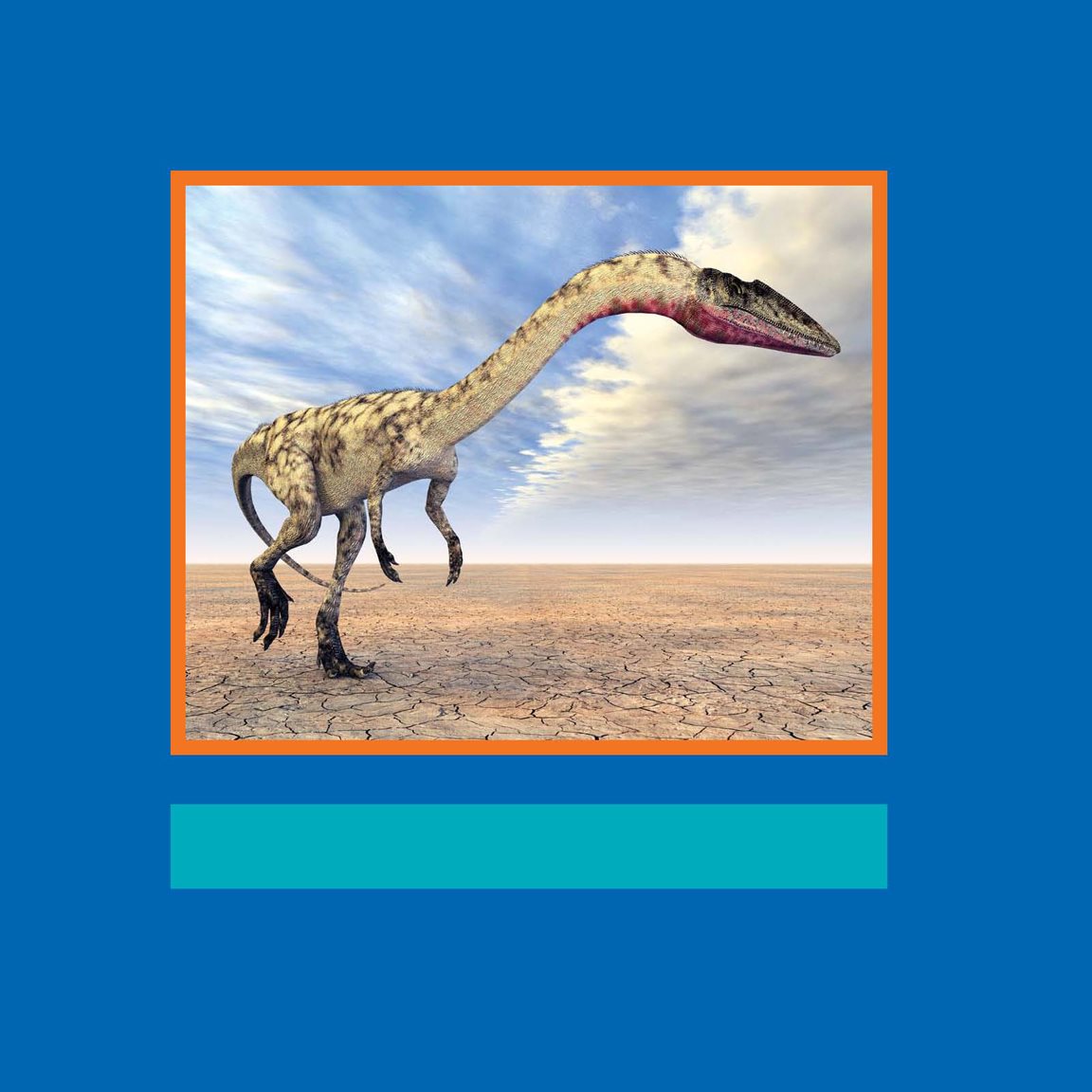 Coelophysis never walked on its short front legs Coelophysis stood on its - photo 12