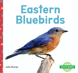 Julie Murray - Eastern Bluebirds