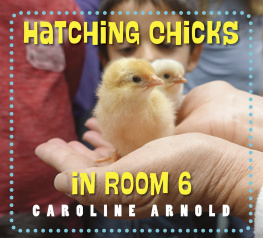 Caroline Arnold - Hatching Chicks in Room 6