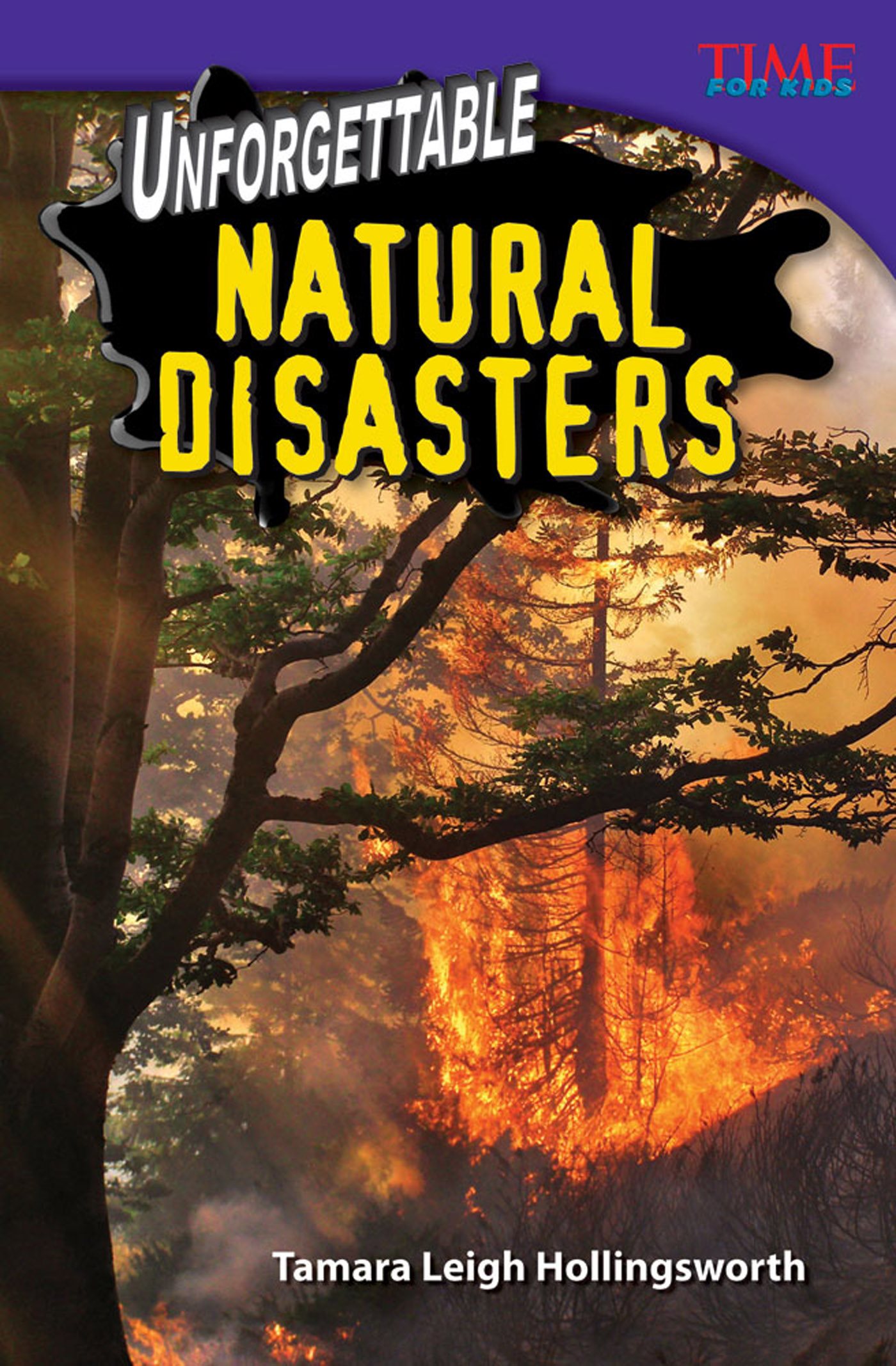 Tamara Leigh Hollingsworth NATURAL DISASTERS NATURAL DISASTERS U NFORGETTABLE - photo 1