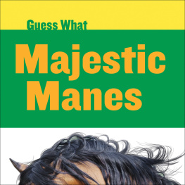 Kelly Calhoun Majestic Manes: Horse