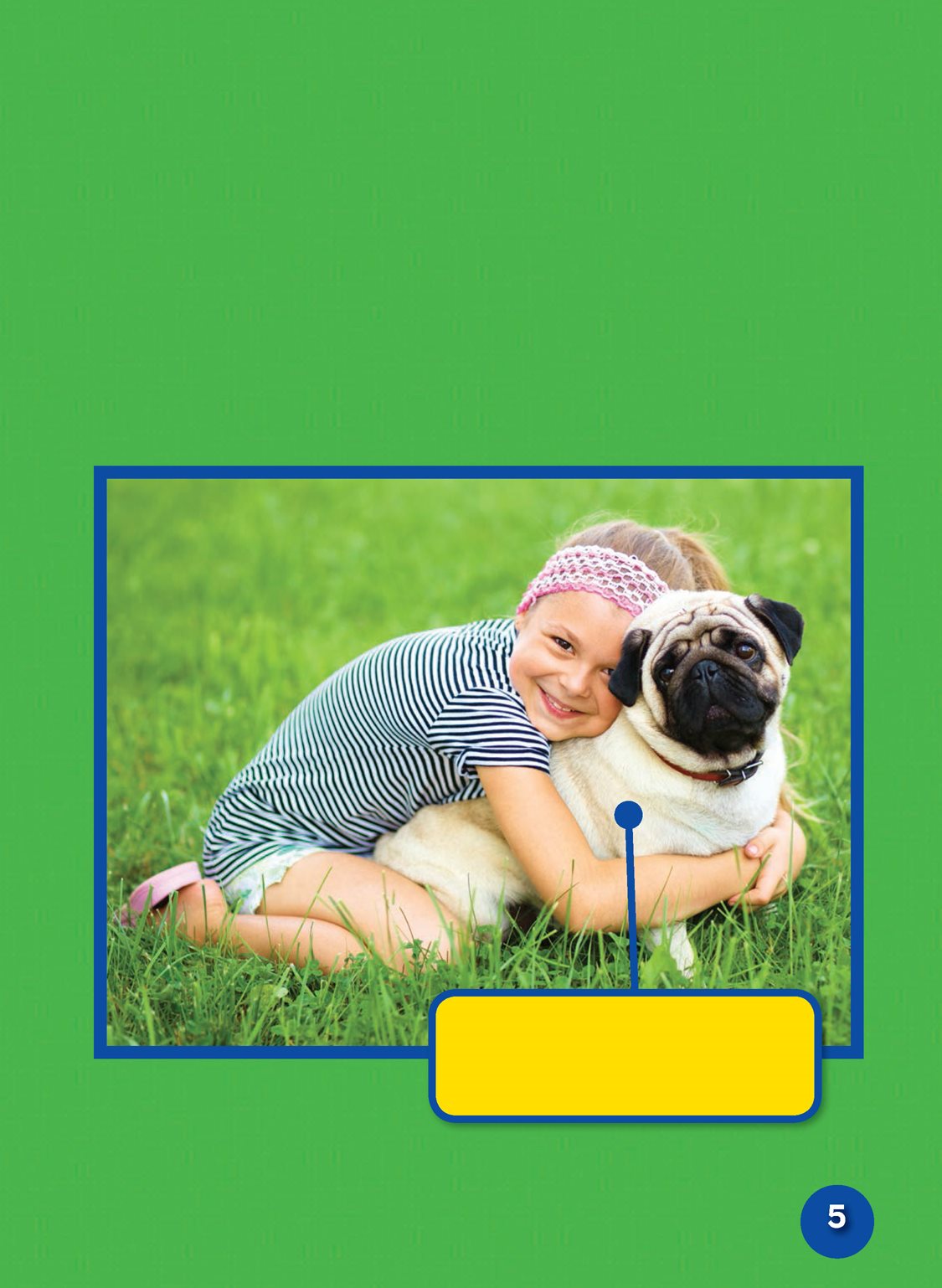 Pugs are small but sturdy They stand between and inches 30 and cm high - photo 7