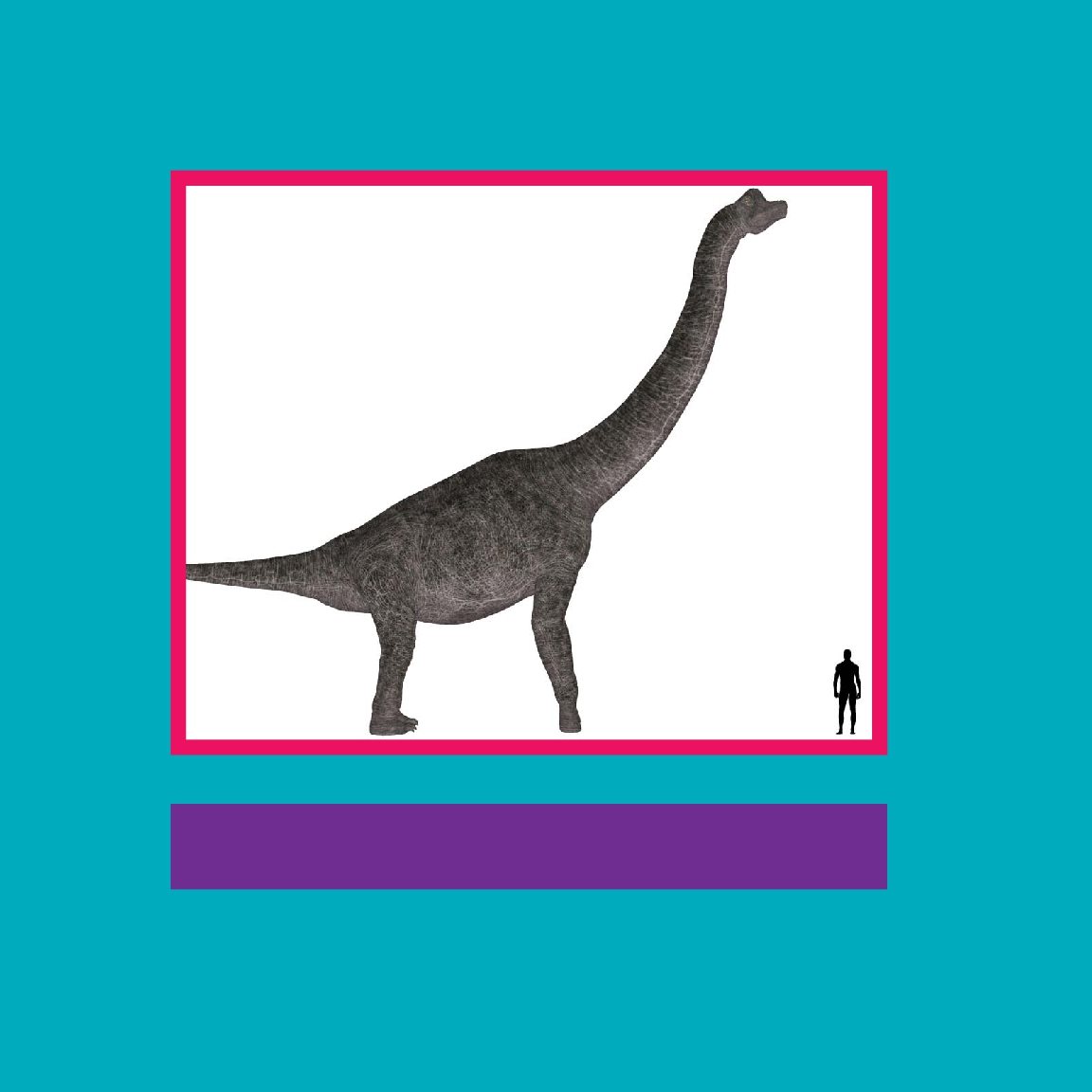 Brachiosaurus was much bigger than an adult human is today - photo 14