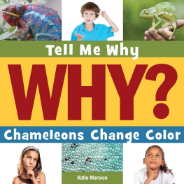 Katie Marsico Chameleons Change Color