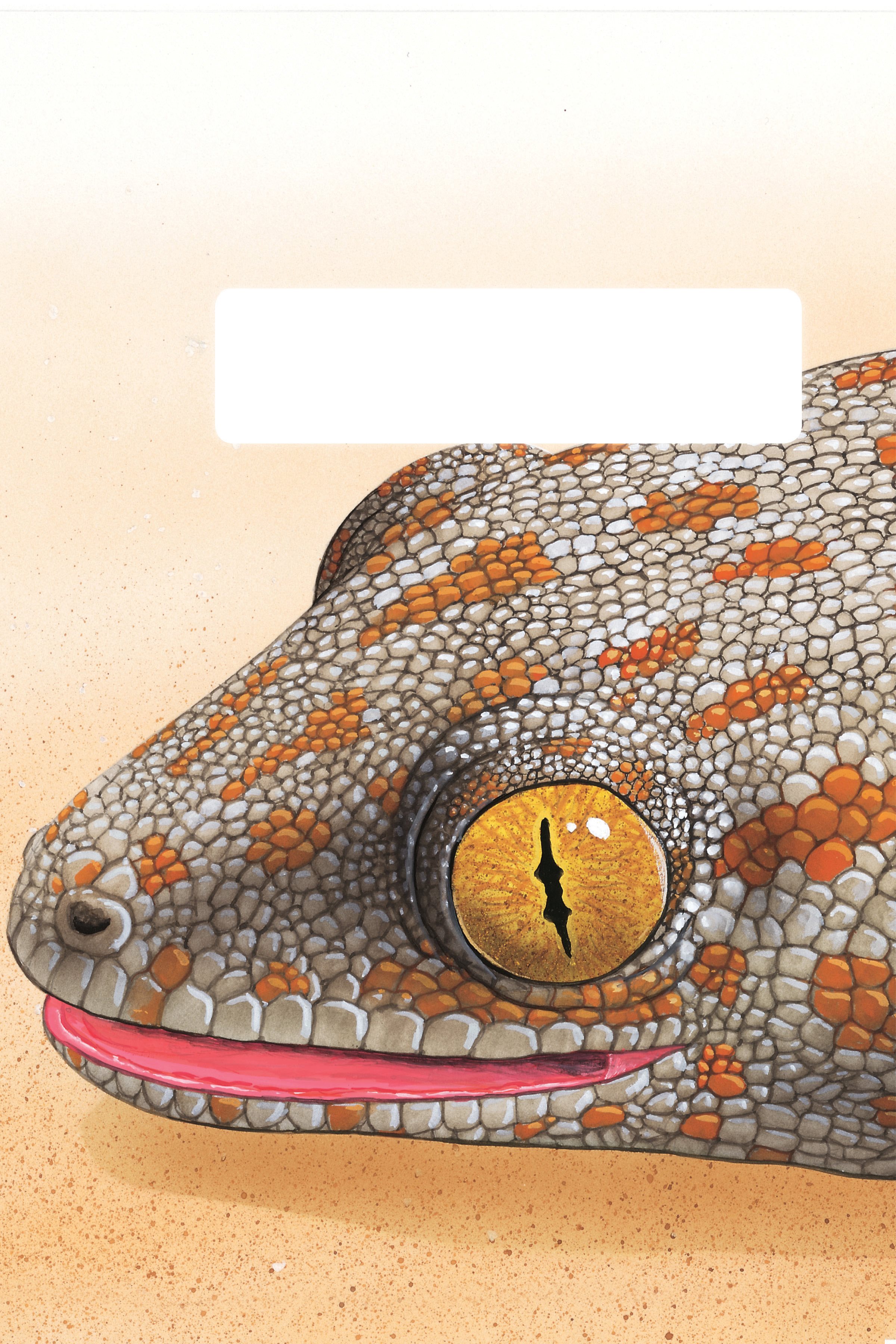 Tokay gecko Lizards have two big eyes and can see very well Some lizards can - photo 9