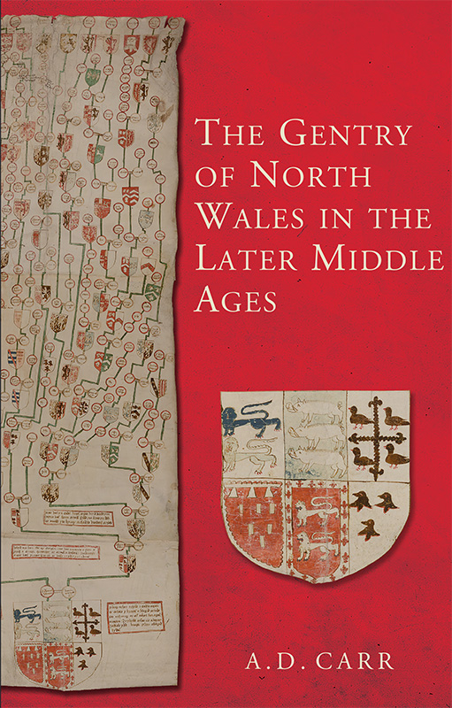 STUDIES IN WELSH HISTORY Editors RALPH A GRIFFITHS CHRIS WILLIAMS ERYN M - photo 1