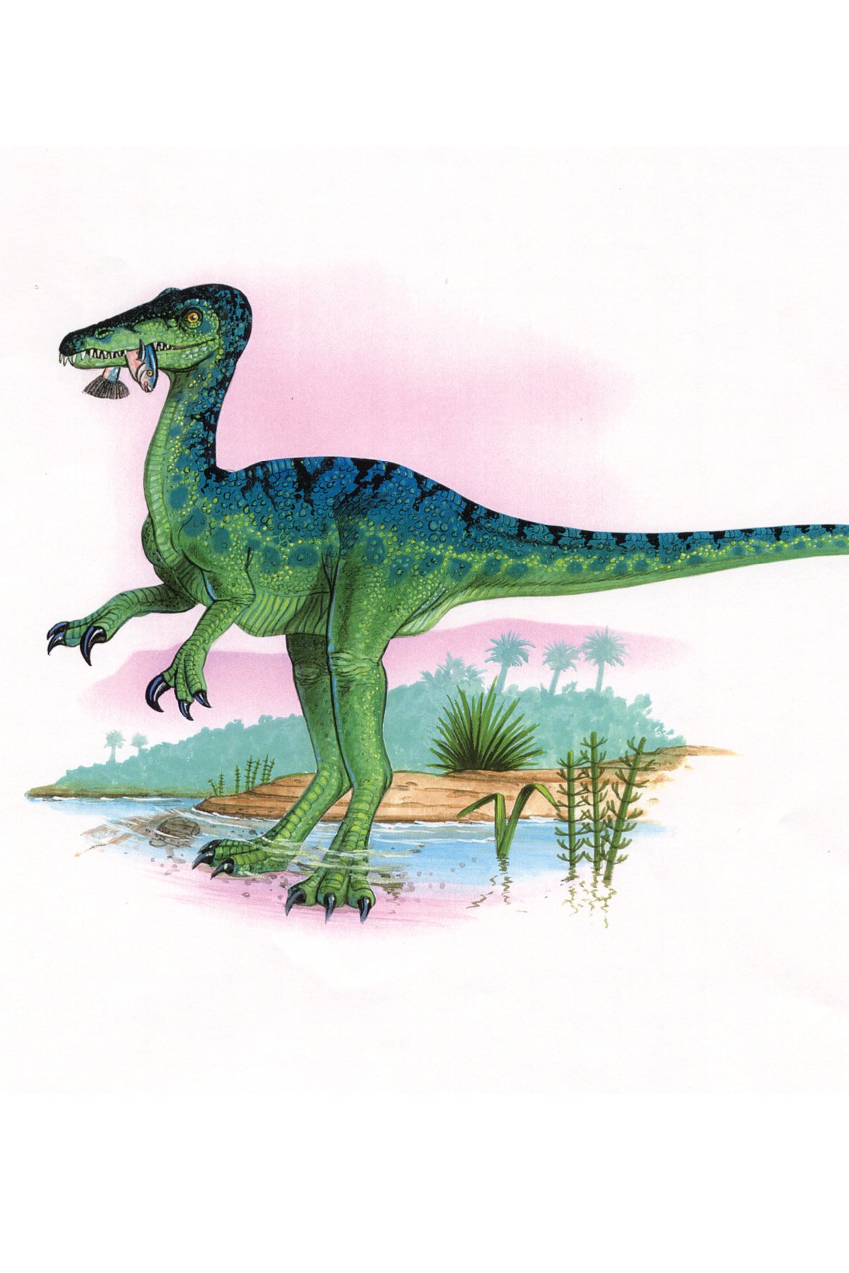 A few kinds of dinosaurs ate both meat and plants They liked variety - photo 7