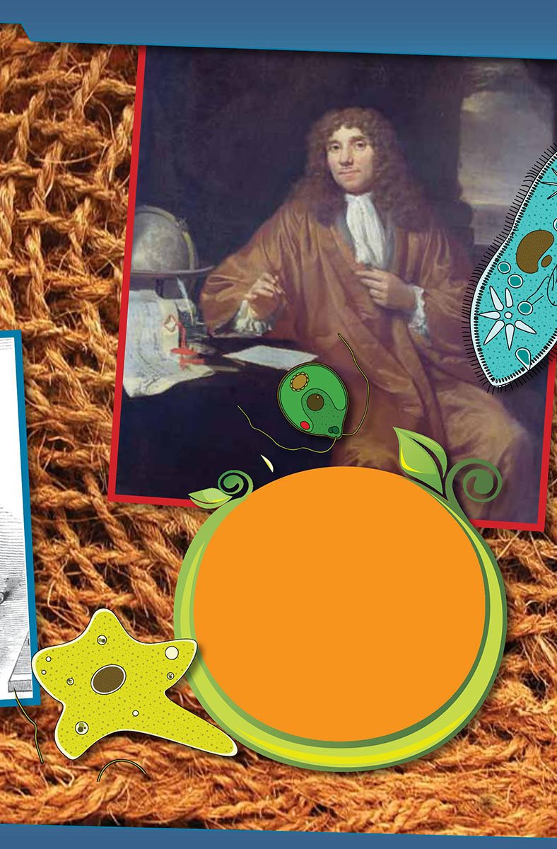 Amazing Animalcules Anton van Leeuwenhoek was a cloth salesman In the - photo 9