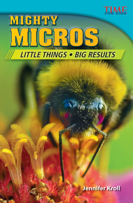 Jennifer Kroll - Mighty Micros: Little Things, Big Results