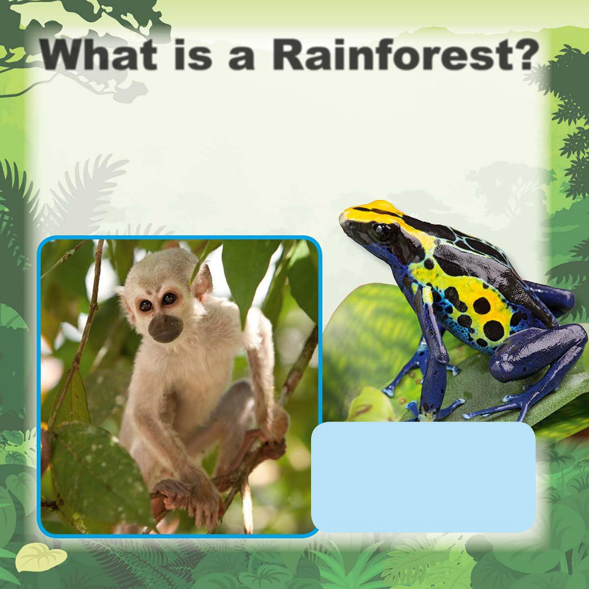 What is a Rainforest Rainforests are warm thick jungles that get a lot of - photo 6