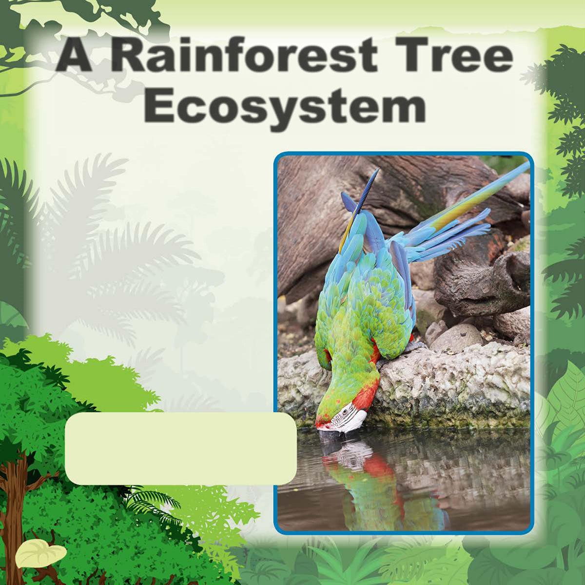 A Rainforest Tree Ecosystem Systems are made up of many parts These - photo 8