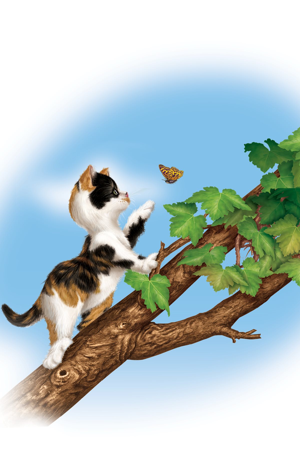 A tail helps a kitten keep its balance when climbing and jumping kind of the - photo 6