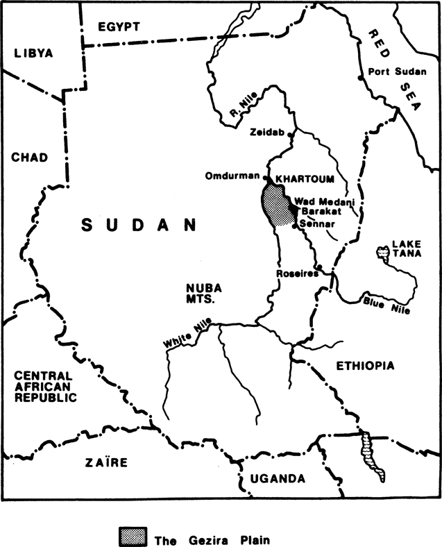 The Gezira in relation to the rest of the Sudan First published 1977 in - photo 1