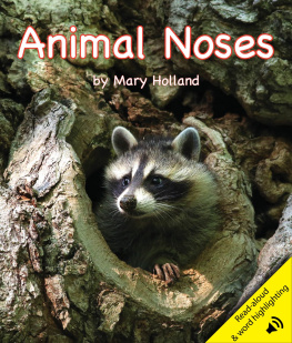 Mary Holland Animal Noses
