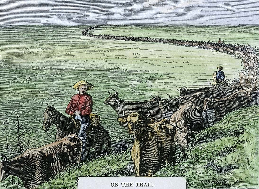 A dozen cowboys or more worked a cattle drive The drives often stretched more - photo 10