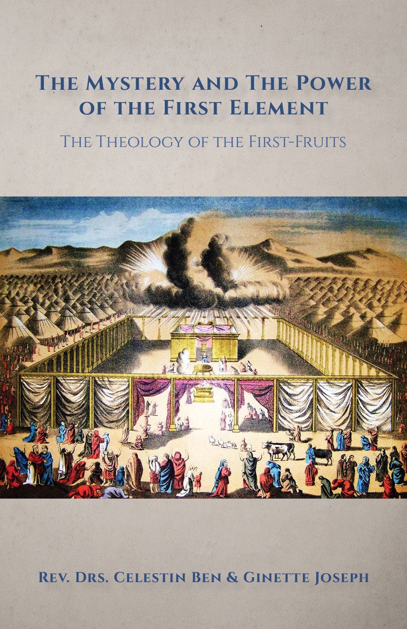 The Mystery and the Power of The First Element The Theology of the First-Fruits - photo 1