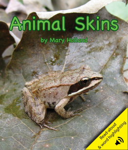 Mary Holland - Animal Skins