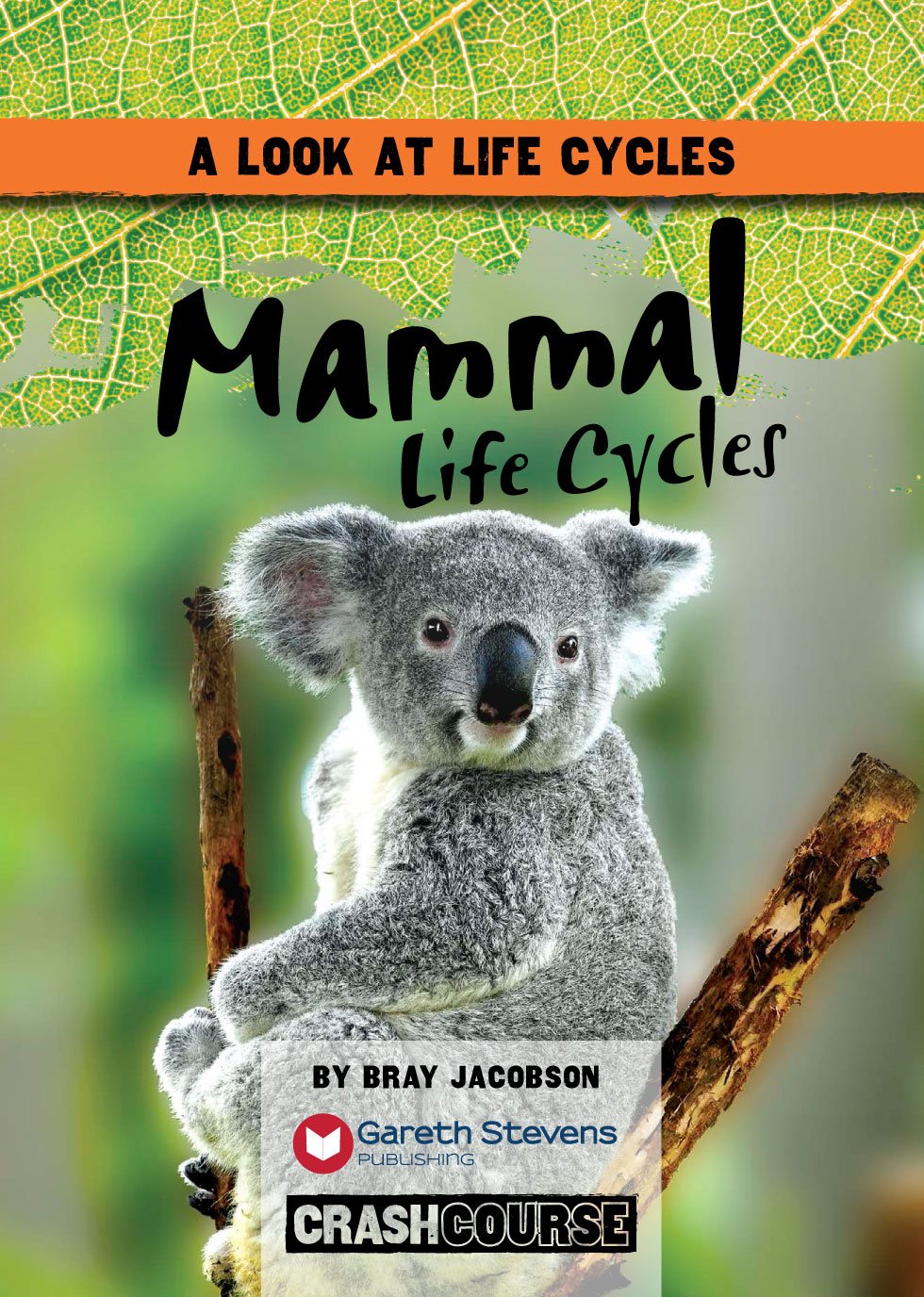 A LOOK AT LIFE CYCLES Mammal Life Cycles BY BRAY JACOBSON Please - photo 3