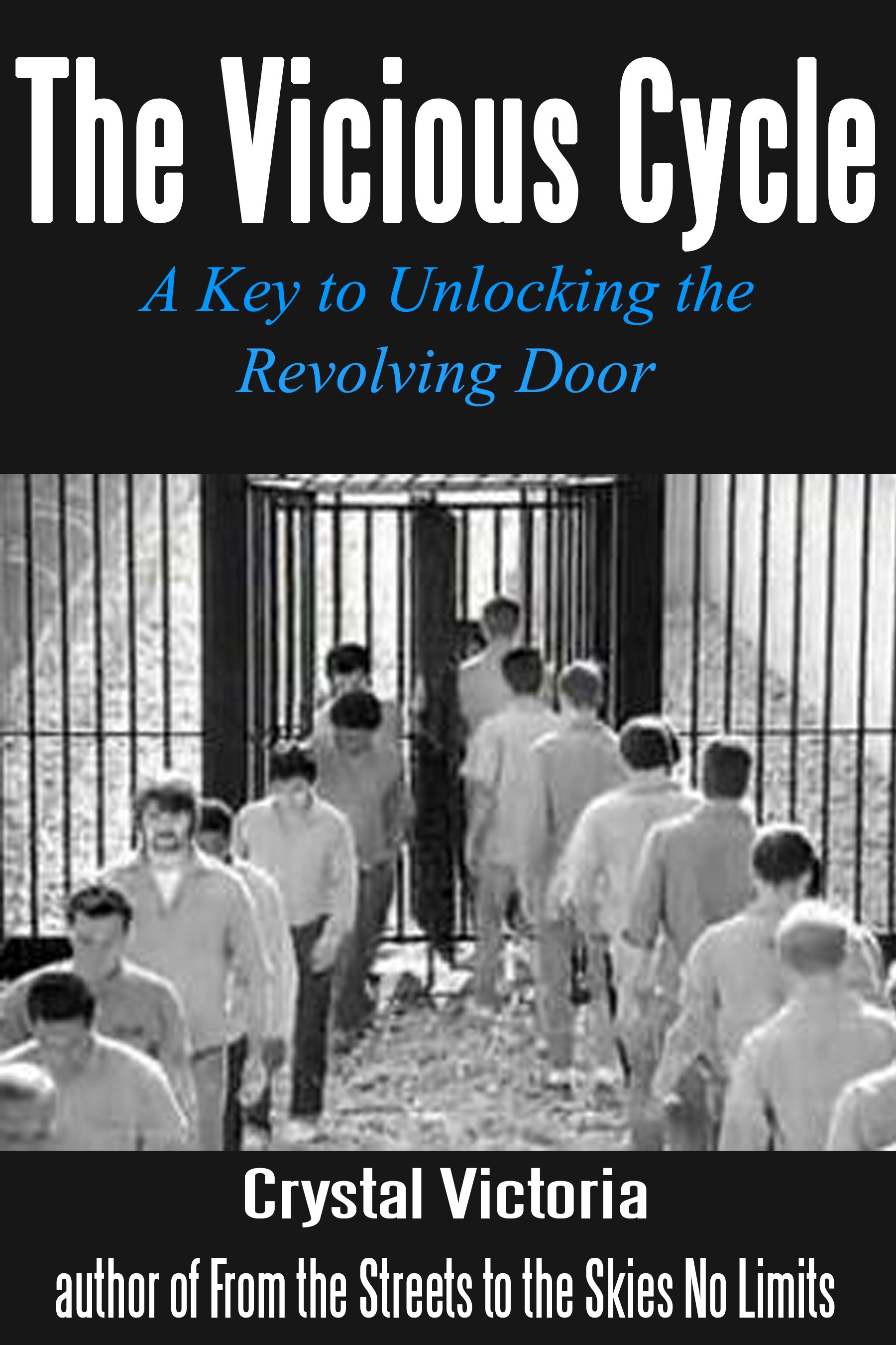 The Vicious Cycle A Key to Unlocking the Revolving Door By Crystal - photo 1