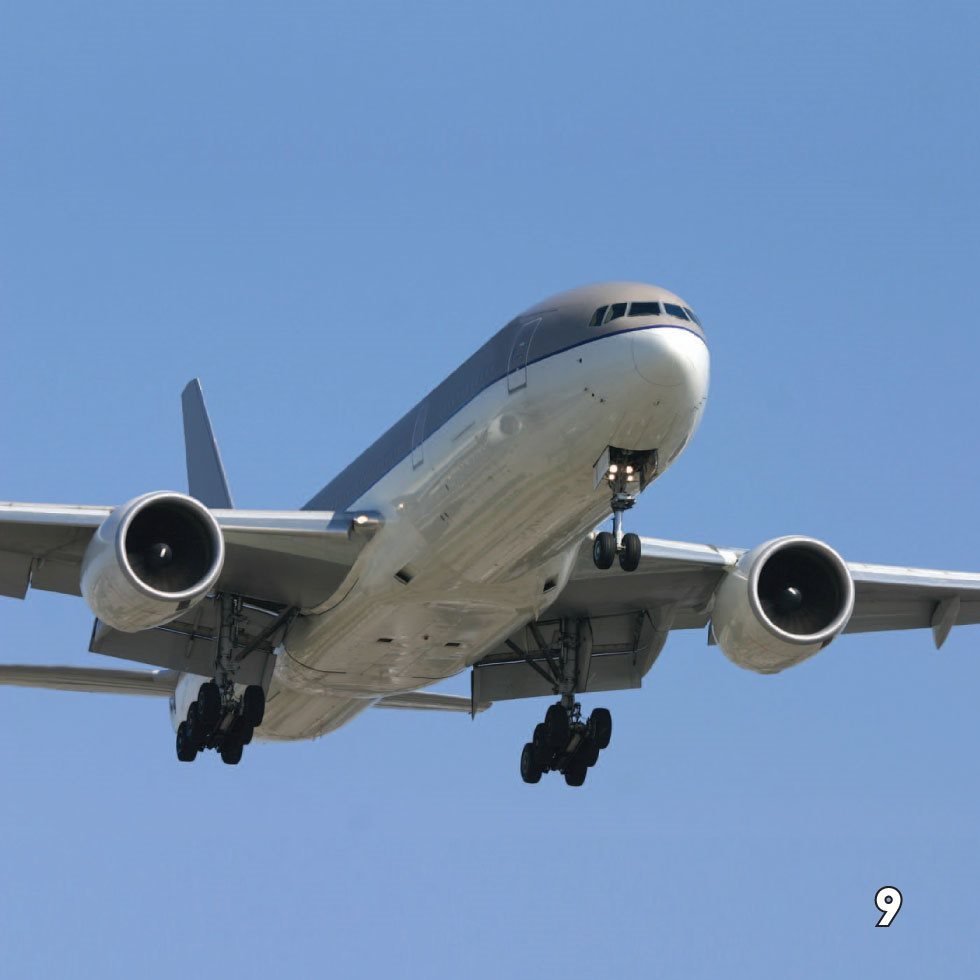 Wild Wings Planes stay in the air because of a force called lift - photo 11