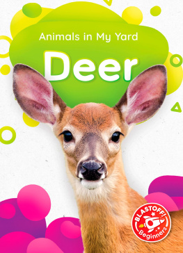 Amy McDonald - Deer