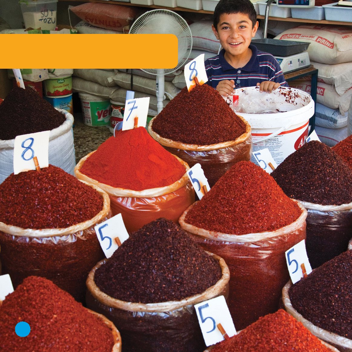 They buy spices Later they will make corba Ela is in the city It - photo 10