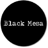 Black Mesa Publishing Florida wwwblackmesabookscom Contents BY BAS - photo 4