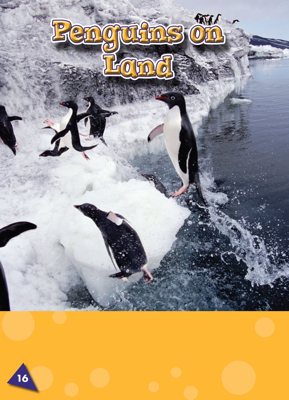 Penguins can leap out of the water onto land Penguins stand upright - photo 21