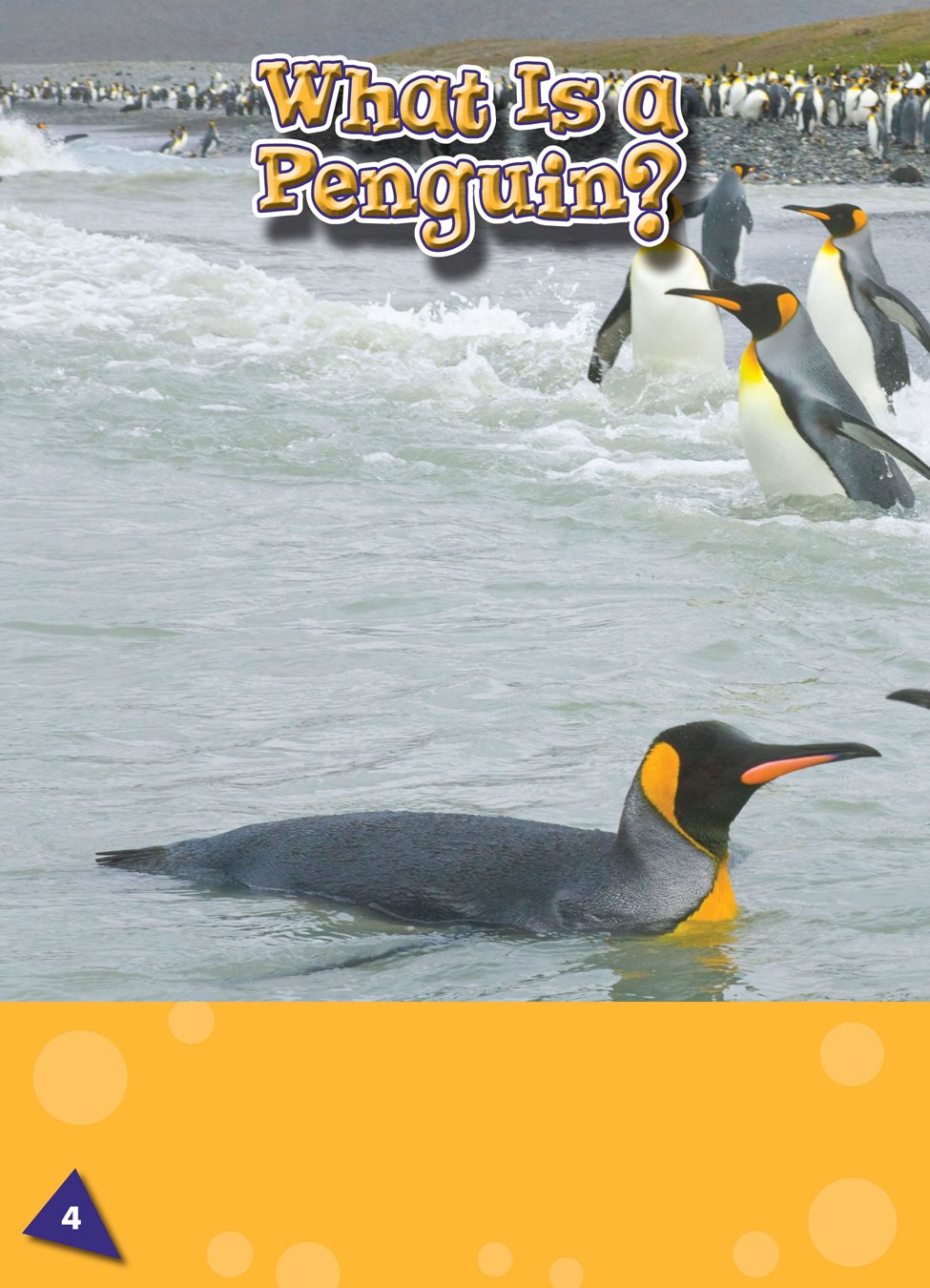 Penguins are flightless birds a kind of bird that cannot fly flightless - photo 3