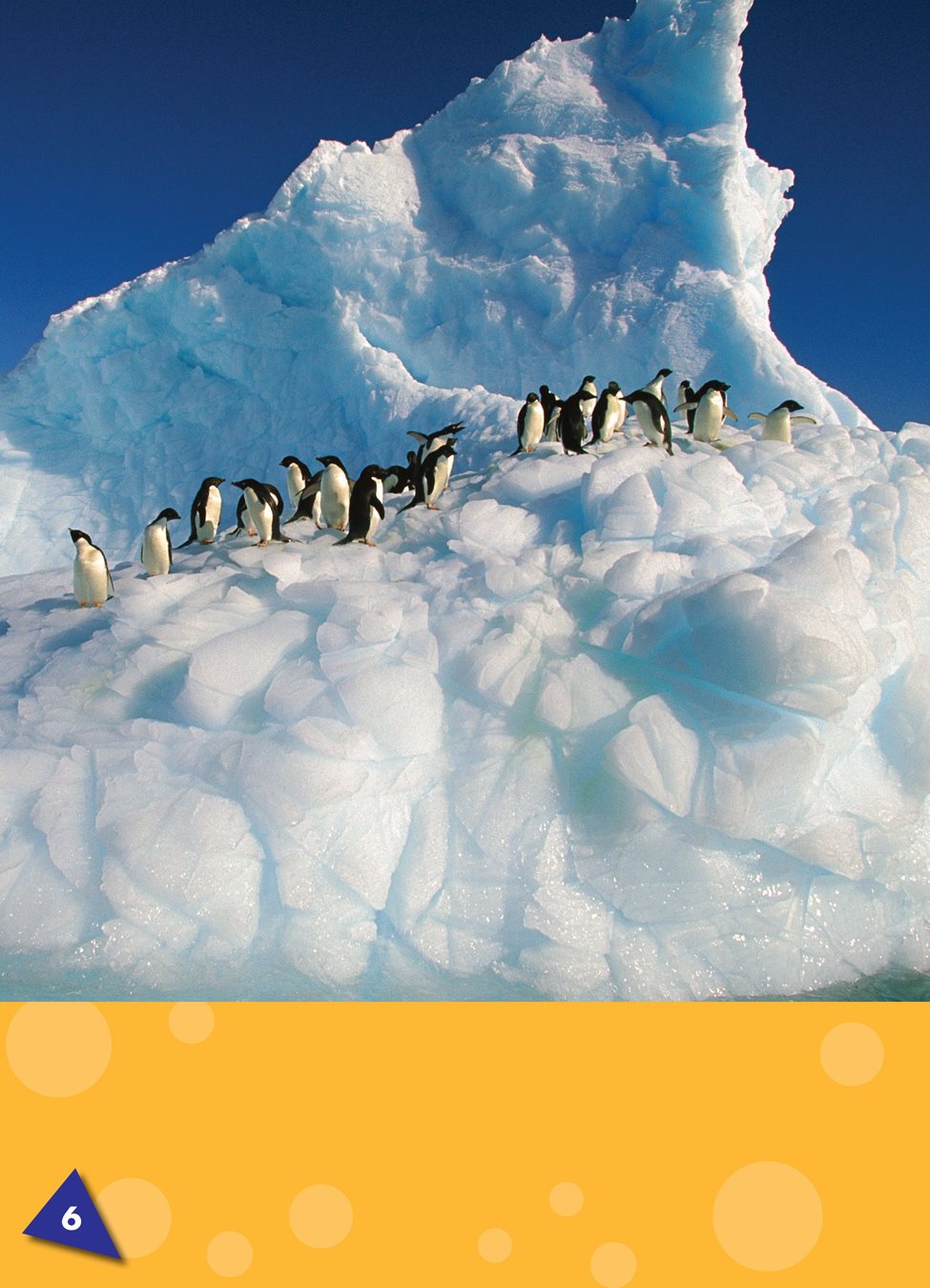 Most penguins live around antarctica a large island covered with ice at the - photo 7