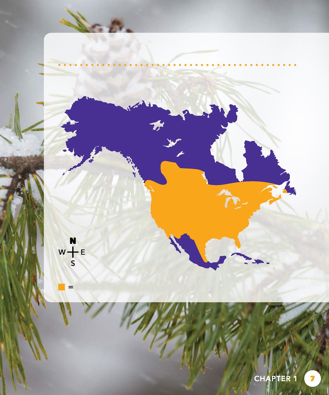 TAKE A LOOK Where do American goldfinches live Take a look NORTH AMERICA - photo 7