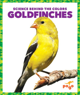 Alicia Z. Klepeis - Goldfinches