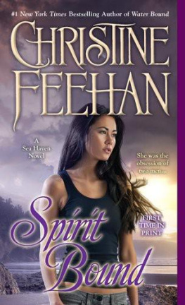 Christine Feehan Spirit Bound