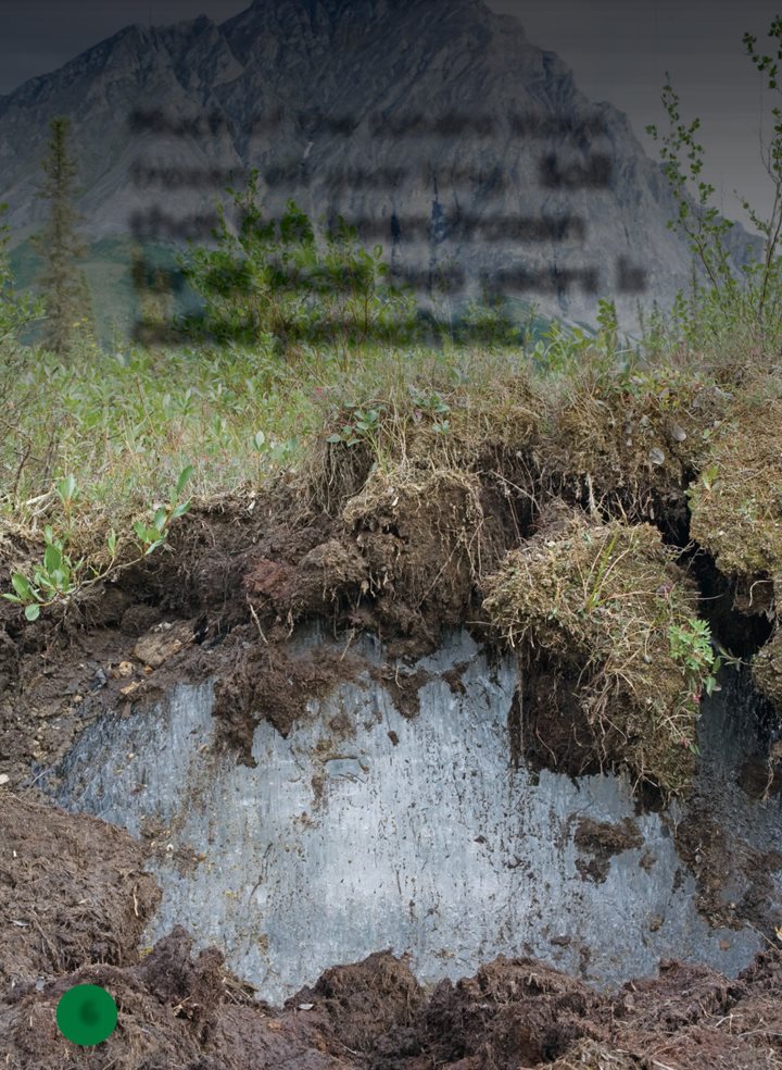 Much of the tundra stays frozen all year long Soil that has been frozen - photo 6