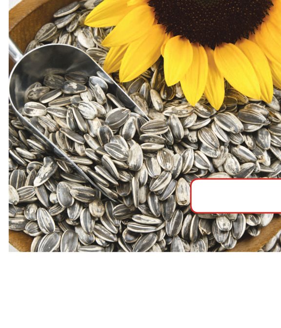 These are sunflower seeds Flowers use pollen to grow seeds carpel - photo 5