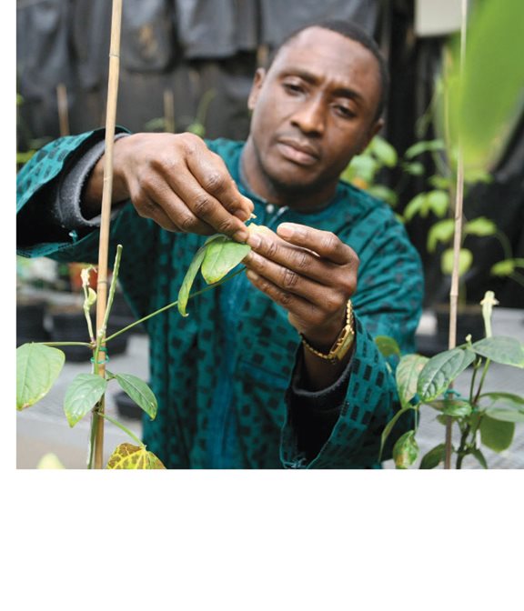 Hand- pollination can help plants grow better fruit It takes a lot of - photo 21