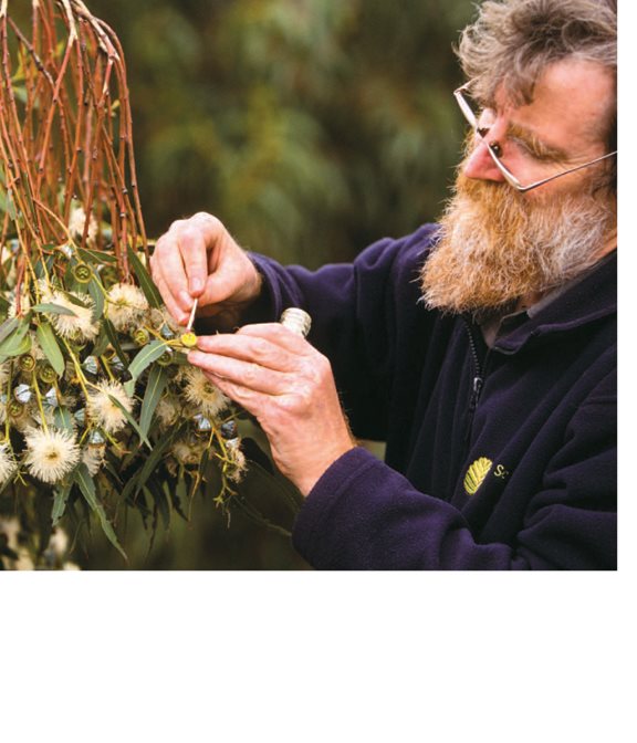 It takes a lot of helpful animals and humans to pollinate flowers - photo 22