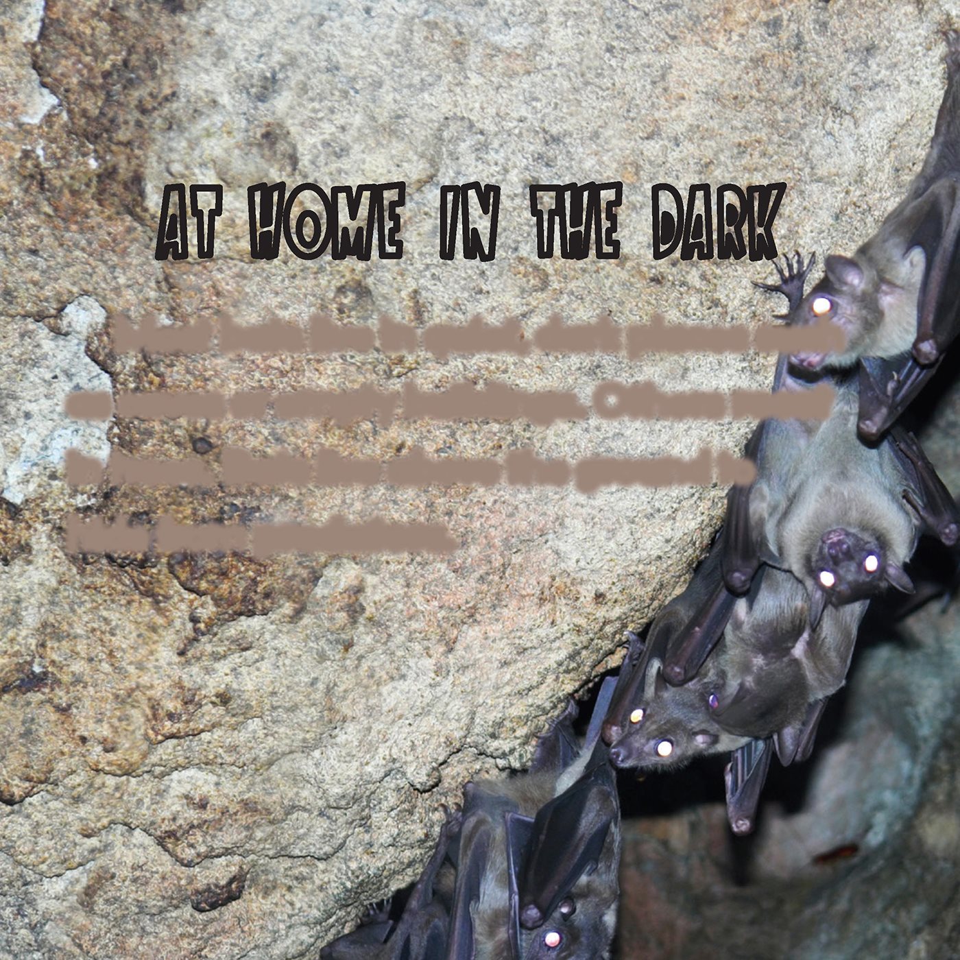 AT HOME IN THE DARK Most bats live in quiet dark places such as caves or - photo 14