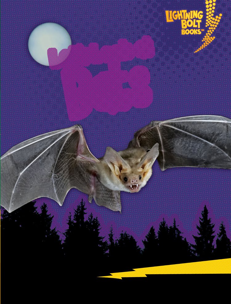 Lets Look at Bats - image 1