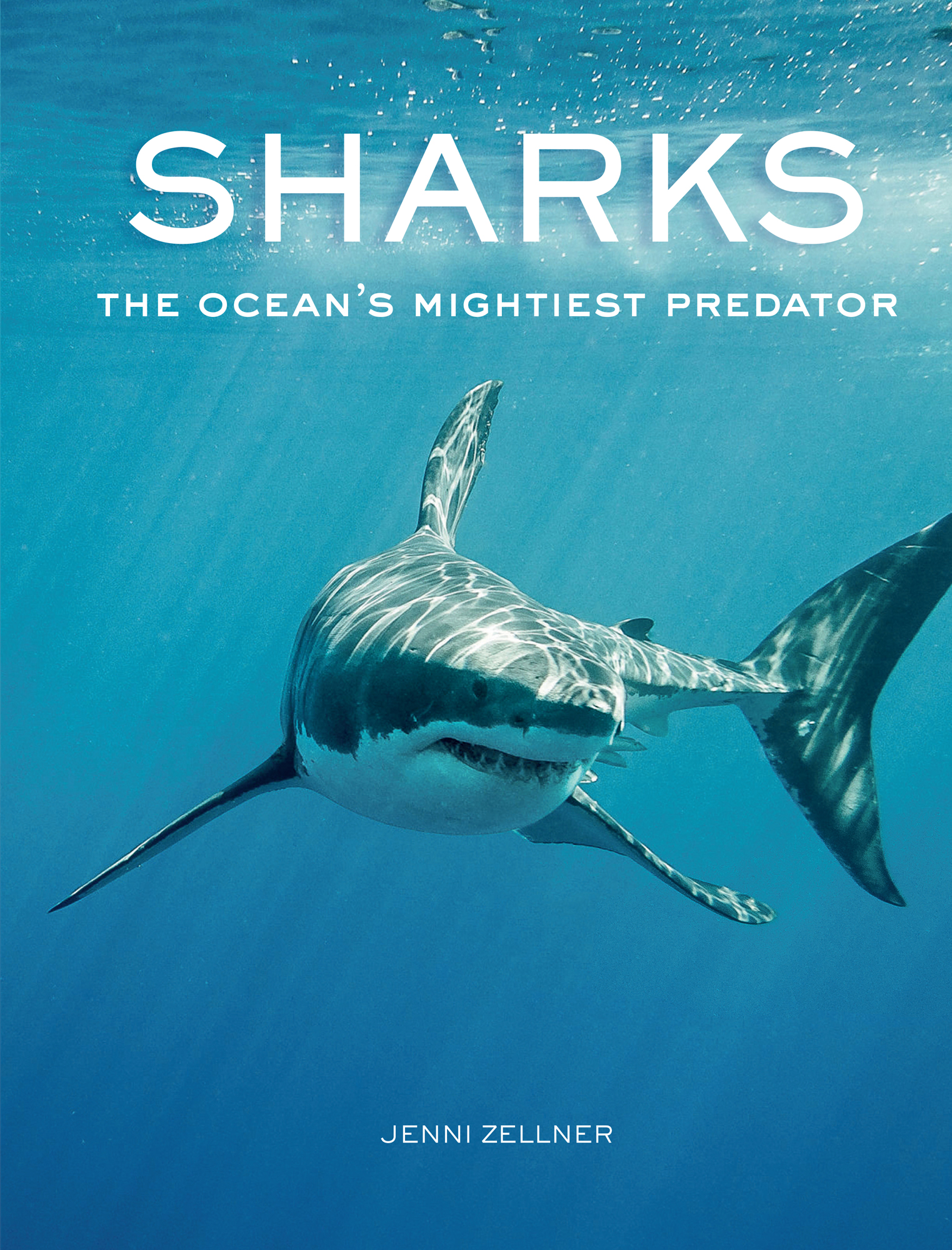 SHARKS THE OCEANS MIGHTIEST PREDATOR JENNI ZELLNER - photo 1