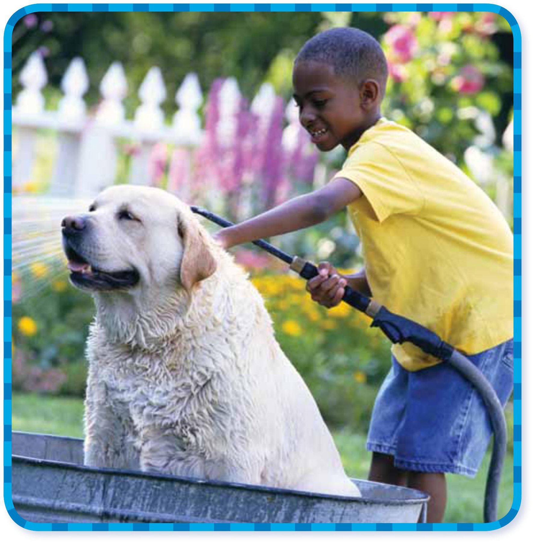 Jaden likes animals His grandmother has a dog named Oscar Jaden offers to - photo 13