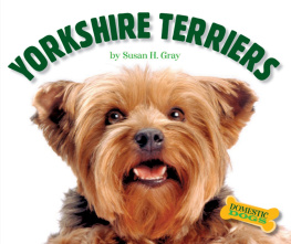 Susan H. Gray - Yorkshire Terriers