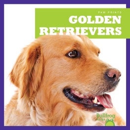 Kaitlyn Duling - Golden Retrievers