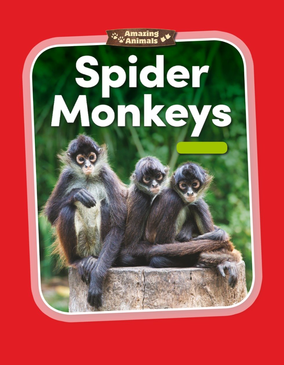 Amazing Animals Spider Monkeys Place Value - photo 1