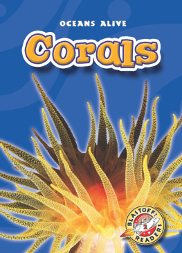 Ann Herriges - Corals